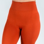 Wholesale mix brand women s solid color full fleece lined seamless leggings One